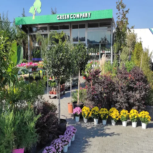 Green Company 3 - Lule natyrale